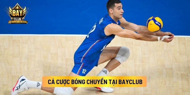 Bóng Chuyền: Bộ Môn Cá Cược Trực Tuyến Có Sức Hút Nhất Tại Bayclub 2 Cá Cược Bóng Chuyền Tại Bayclub