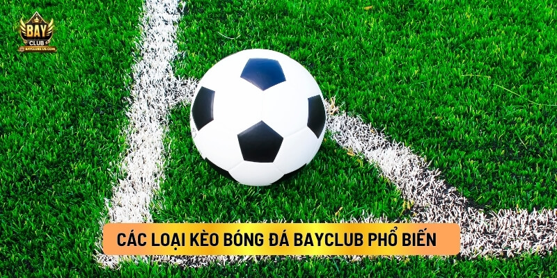Tổng Hợp Các Loại Kèo Bóng Đá Bayclub Người Chơi Cần Biết 3 Các Loại Kèo Bóng Đá Bayclub Phổ Biến