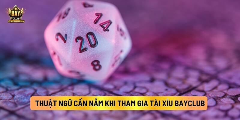 Các thuật ngữ cần nắm khi tham gia Tài Xỉu Bayclub