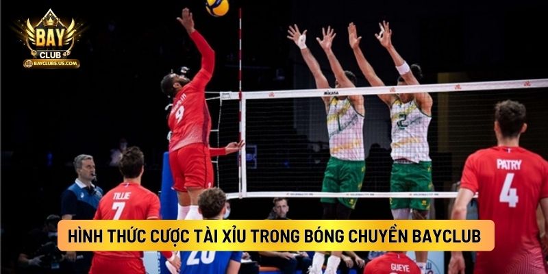 Bóng Chuyền: Bộ Môn Cá Cược Trực Tuyến Có Sức Hút Nhất Tại Bayclub 4 Hình Thức Cược Tài Xỉu Trong Bóng Chuyền Bayclub