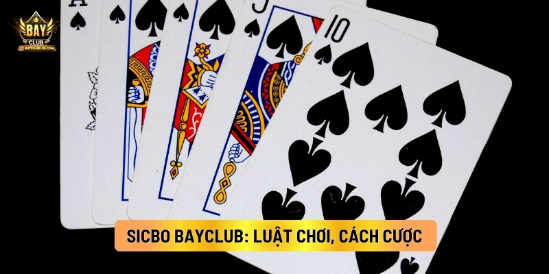 Sicbo Bayclub: Luật Chơi, Cách Cược Và Mẹo Chơi Chi Tiết 2 Sicbo Bayclub: Luật Chơi, Cách Cược Và Mẹo Chơi Chi Tiết