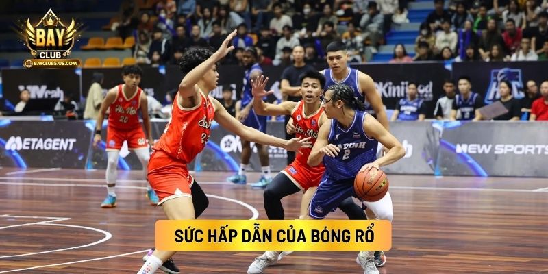 Sức Hấp Dẫn Của Bóng Rổ