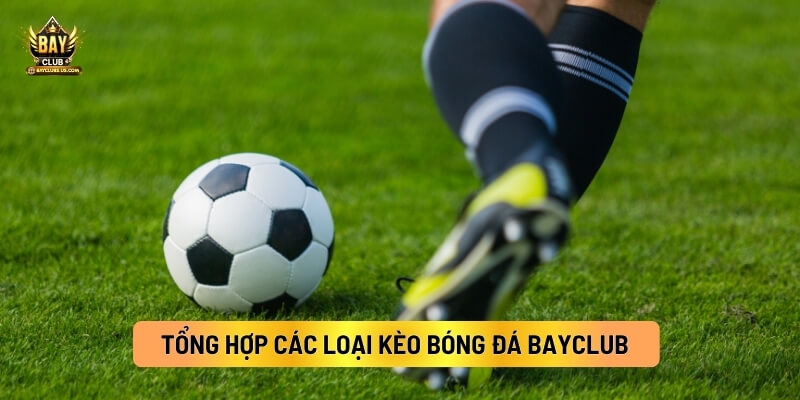 Tổng Hợp Các Loại Kèo Bóng Đá Bayclub Người Chơi Cần Biết 2 Tổng Hợp Các Loại Kèo Bóng Đá Bayclub Người Chơi Cần Biết